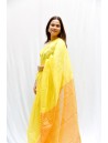 Saree with Blouse