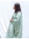 Saree with Blouse