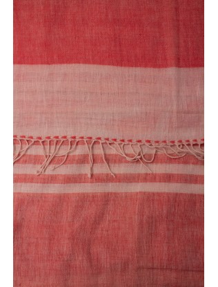 Saree with Blouse