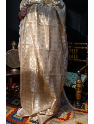 Full Jaal Saree with Blouse