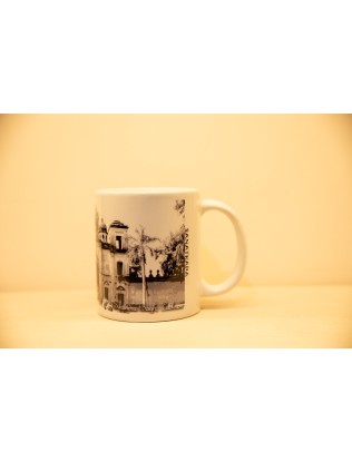 Sikandar bagh Mug