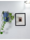 Safipur Wall Frame- Taakh
