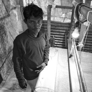 Rajib Saha
